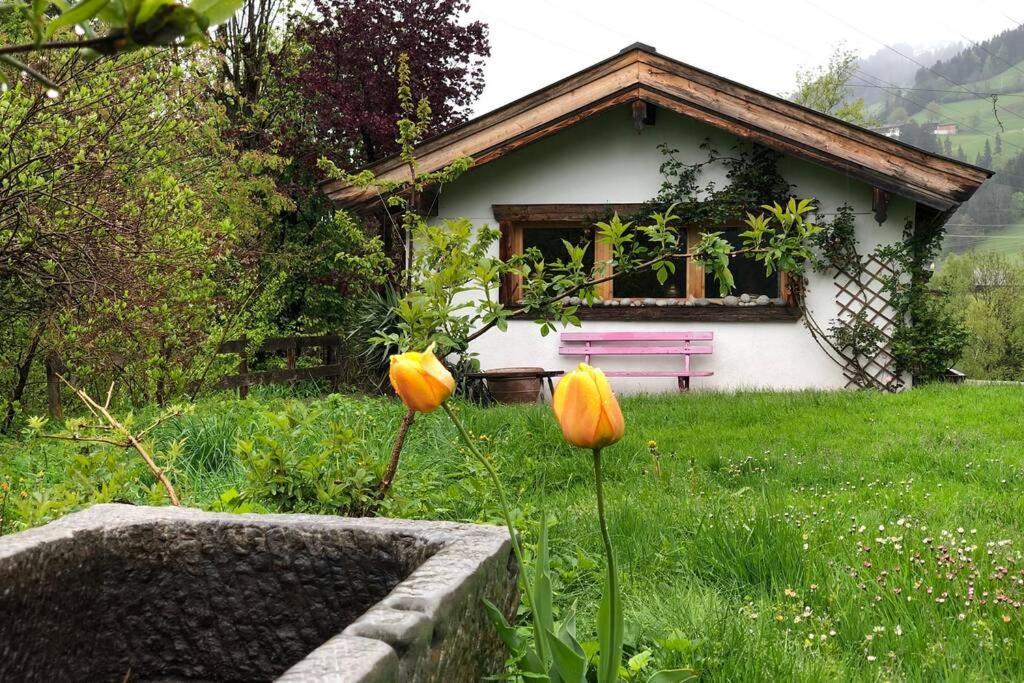 Zuhaus Schernfeichten Kitzbuhel Luaran gambar